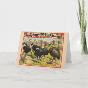Carte Cirque vintage Montrant Des Ostriches Et De Grands