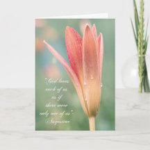Citation d'Augustin sur Dieu sur photo de Daylily
