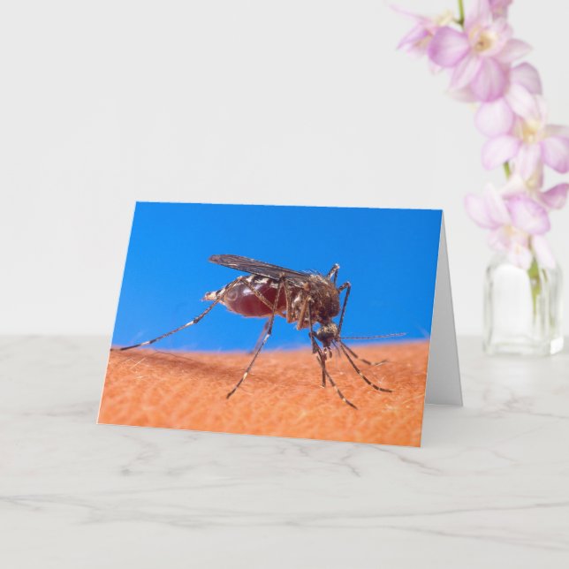 Carte Citation photo de moustique Biting Anniversaire (Orchidée)