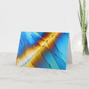 Carte Citric acid under the microscope