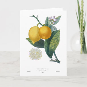 Carte Citron