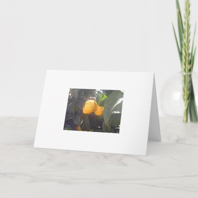 Carte Citrons ? (Devant)