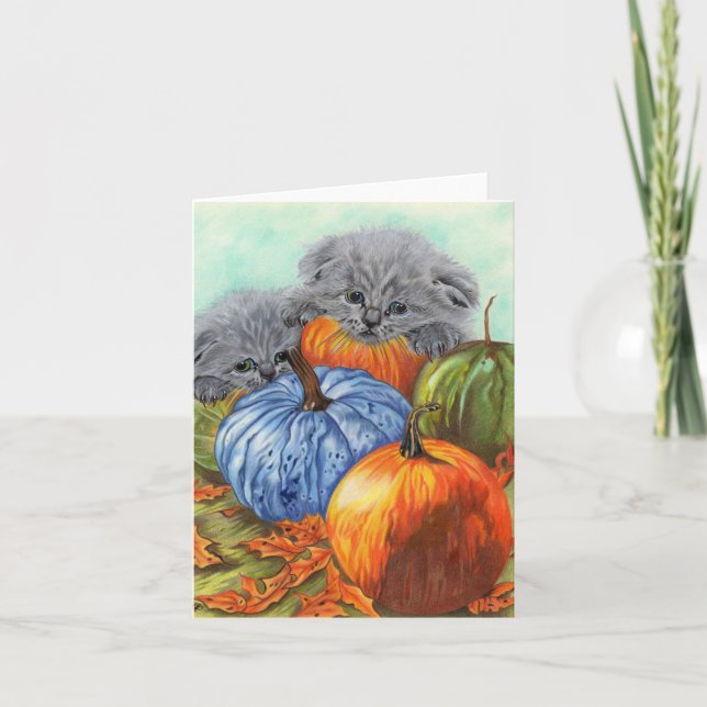 Carte citrouille et chatons (Devant)