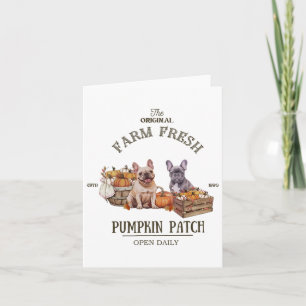 Carte Citrouille Patch French Bulldog The Original Farm