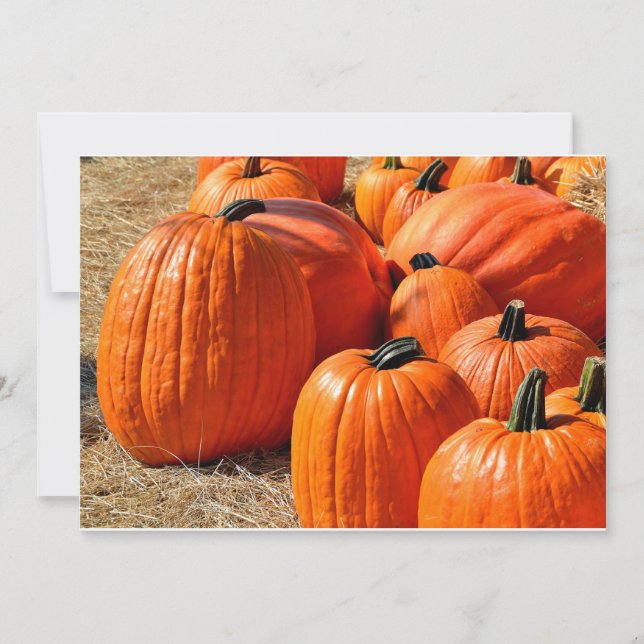 Carte citrouilles à vendre (Devant)