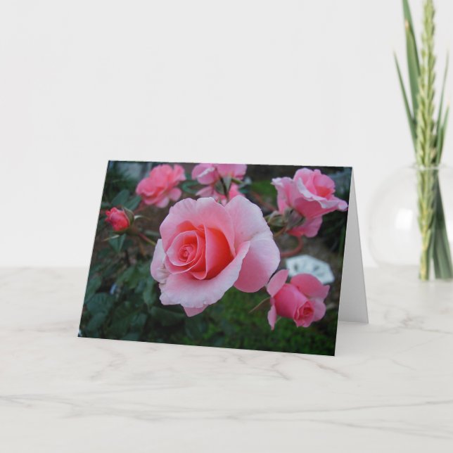 Carte Citrus tease (Devant)