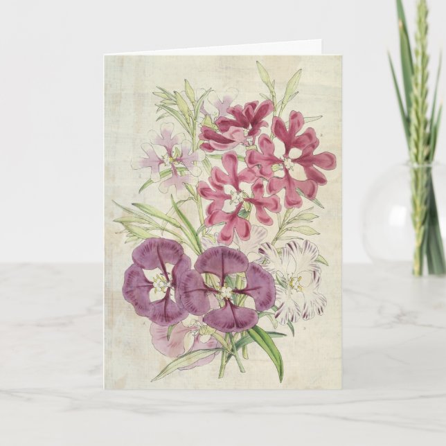 Carte Clarkias botanique vintage (Devant)