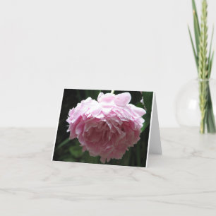 Carte Classic Pink Peony Note Cards
