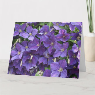 Carte Clematis