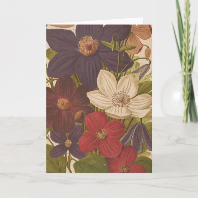 Carte Clematis | George Nicholson (Devant)
