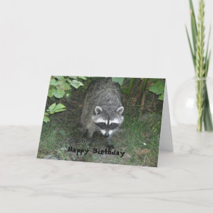 Carte Clever Raccoon voeux d'anniversaire