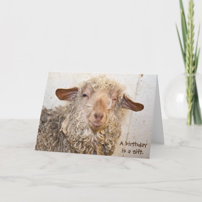 Carte cligner de l'oeil la chèvre pour l'anniversaire (Devant)
