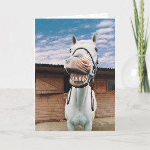 Carte Close-up of Horse with Mouth Open