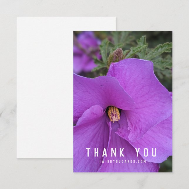 Carte Closeuse aux fleurs d'Hibiscus pourpre (Devant / Derrière)