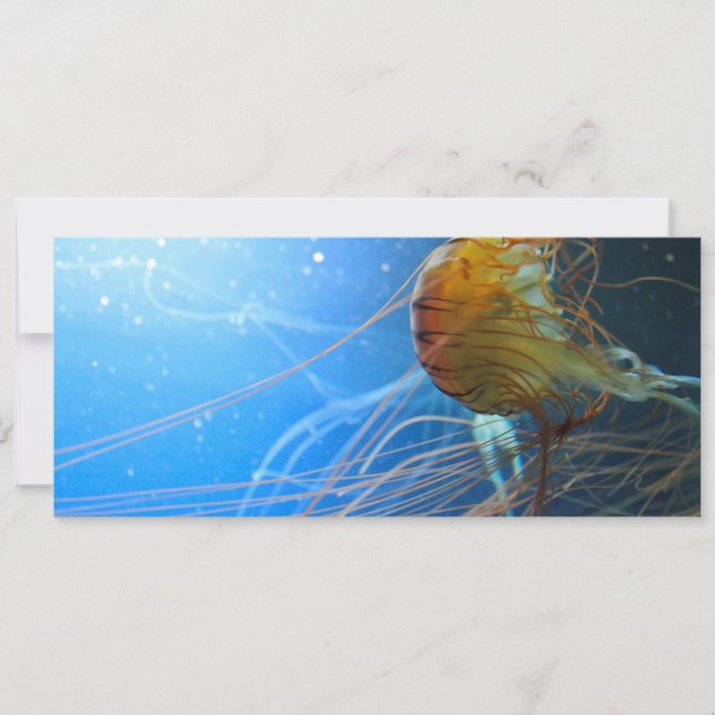 Carte Closeuse de méduse de natation (Devant)