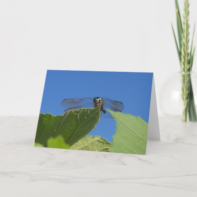 Carte Closeuse d'une libellule contre un ciel bleu vif (Devant)