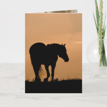 Cloud Walk at Sunset Wild Horse Greeting Card