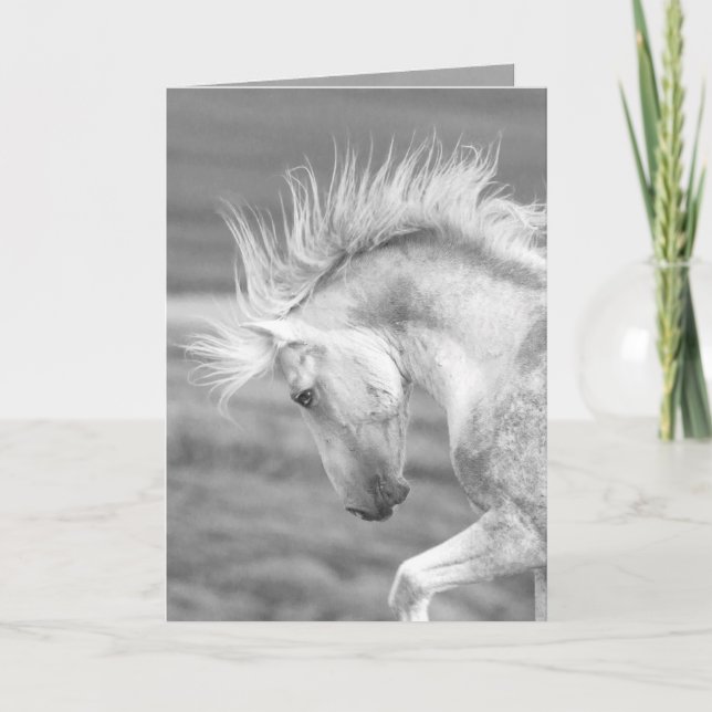 Carte Cloud's Pride Wild Horse Greeting Card (Devant)