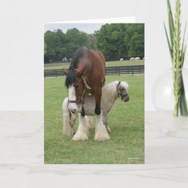 Carte Clydesdale debout au-dessus de Miniature Pony (Devant)