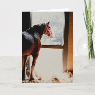 Carte Clydesdale majestueux
