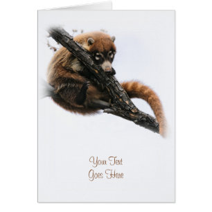 Carte : Coatimundi #5 (Portrait)