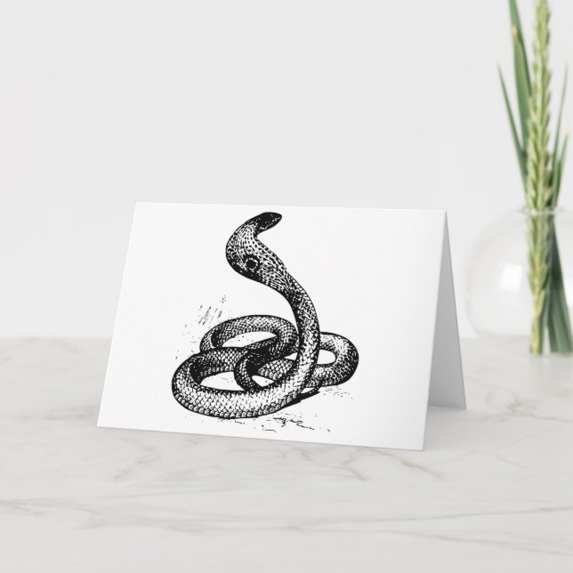 Carte Cobra (Devant)