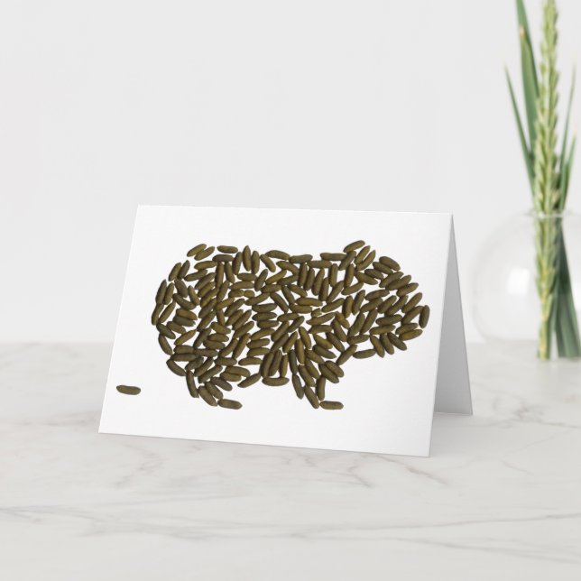 Carte Cochon de Guinée classique (Devant)