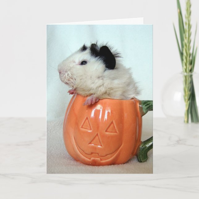Carte Cochon de Guinée Jack-O-Lantern (Devant)