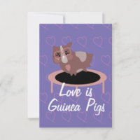 Cochons d'Inde mignons en train de faire de l'exer