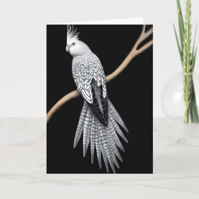 Carte Cockatiel à carreaux de perles blanc (Devant)