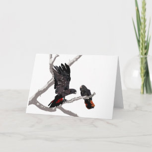Carte Cockatoo noir à queue rouge de la forêt