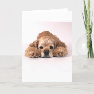 Carte Cocker mignon