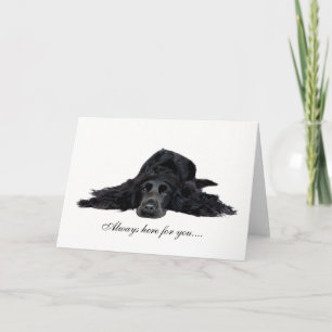 Carte Cocker Spaniel