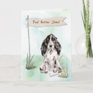 Carte Cocker Spaniel se sentent mieux après la chirurgie