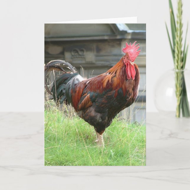 Carte Cockrel (Devant)