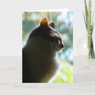 Carte "Coco dans la fenêtre."Carte de voeux