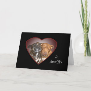 Carte Coeur de caresse de Staffy