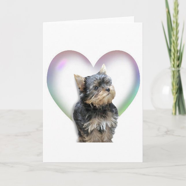 Carte Coeur de Yorkie (Devant)