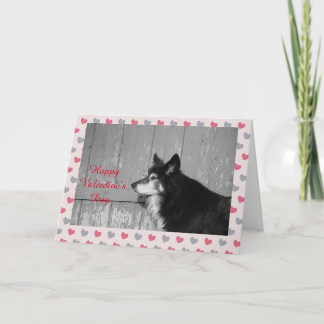 Carte Coeur Heureuse Sainte-Valentin Collie Bordur (Devant)