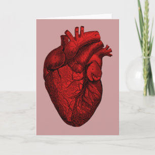 Carte Coeur humain anatomique