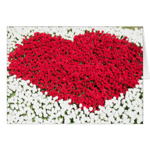 Carte coeur Love tulips