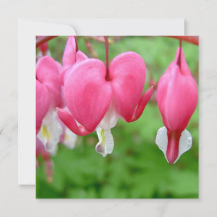 Carte Coeur rose saignant