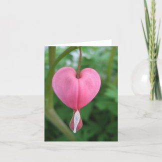 Carte Coeur saignant