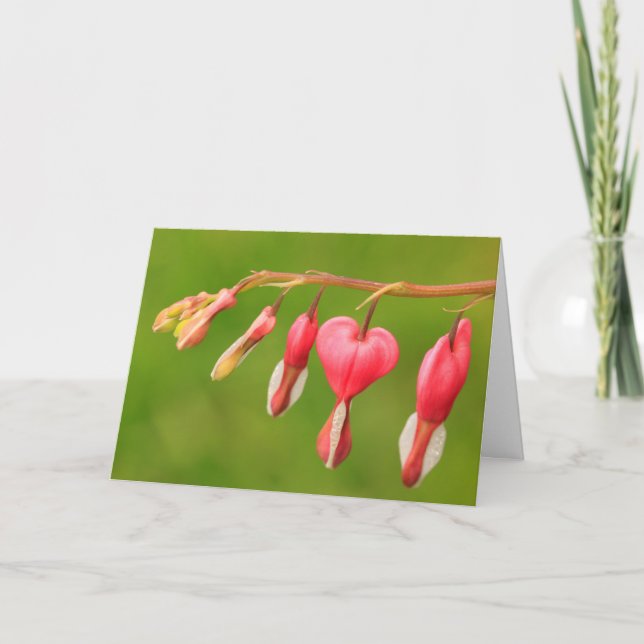 Carte Coeurs saignants Cancer/aide aux maladies graves (Devant)