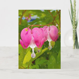 Carte Coeurs Saignants Roses Avec Arroses