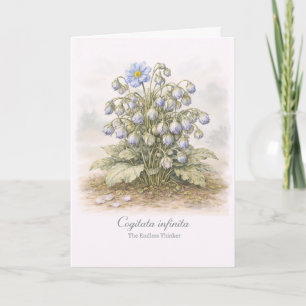 Carte Cogitata infinita - Le Botaniste au Réflexion Infi