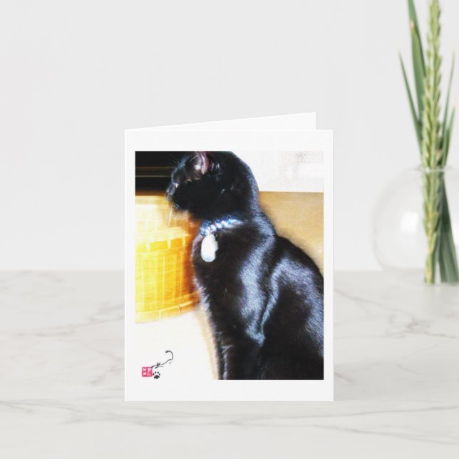 CARTE COLE (Devant)