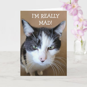 Carte Colère contre le chat cancéreux