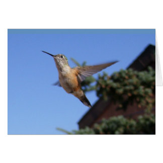 Carte Colibri