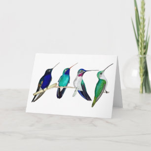 Carte Colibri